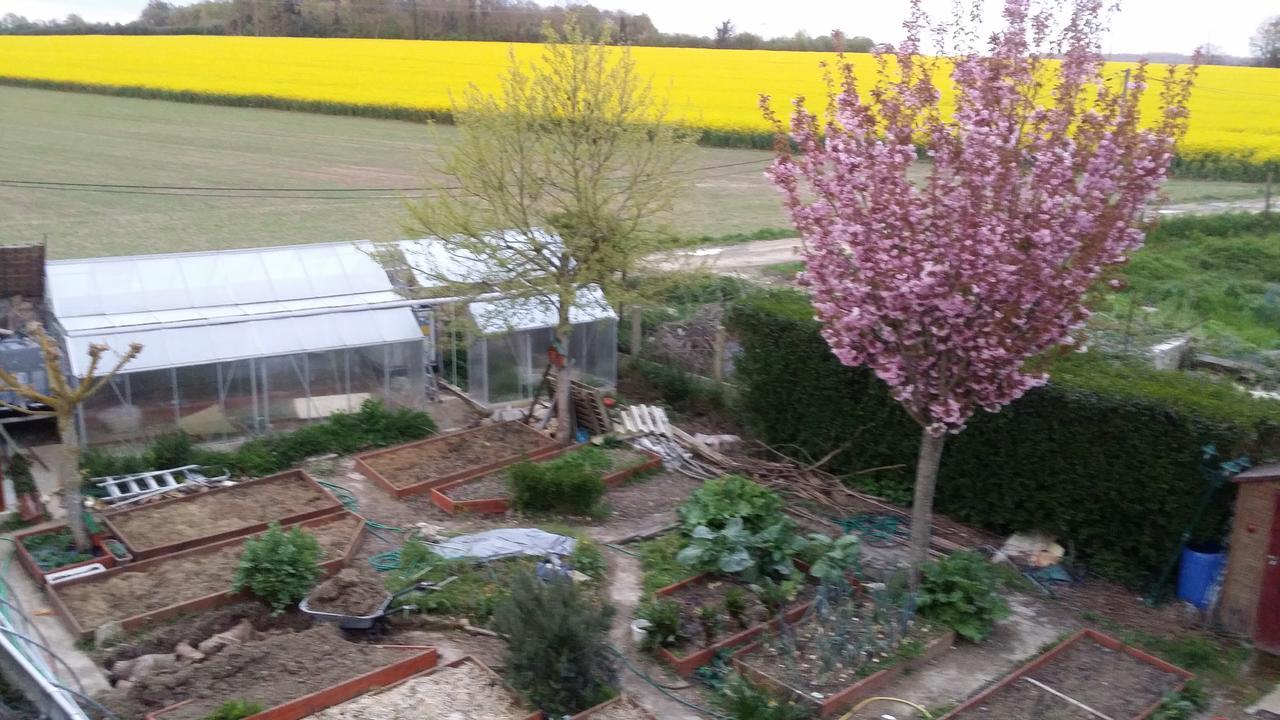 Les Nympheas, Appart Au Calme Et Grand Jardin A 15 Min De Disneyland, Crecy-la-Chapelle Kültér fotó